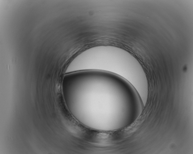 X0000091560176200708171109