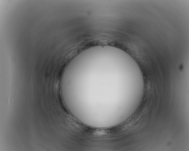 X0000091560177200708171109