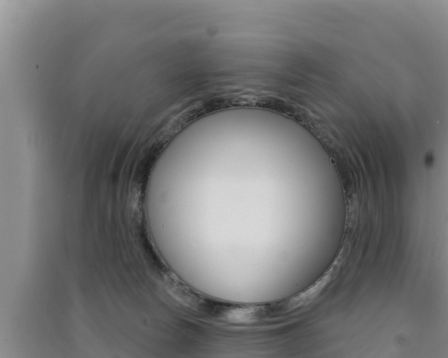 X0000091560178200708171109