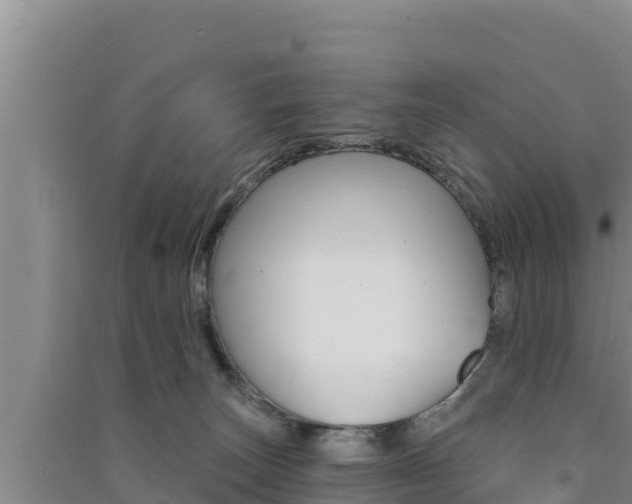 X0000091560179200708171109