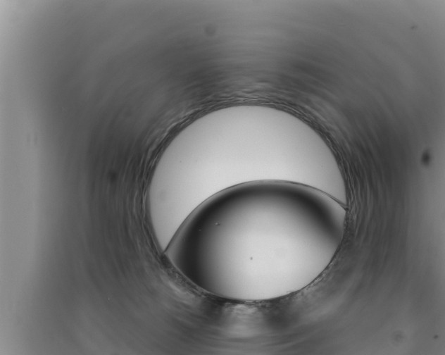 X0000091560180200708171109