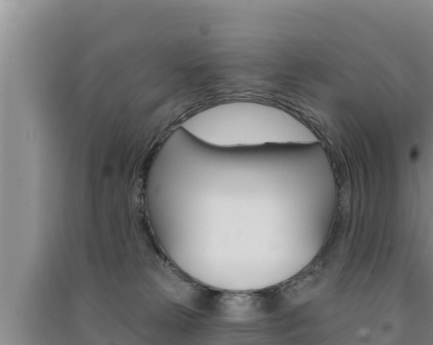 X0000091560181200708171109