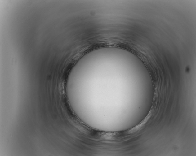 X0000091560182200708171109