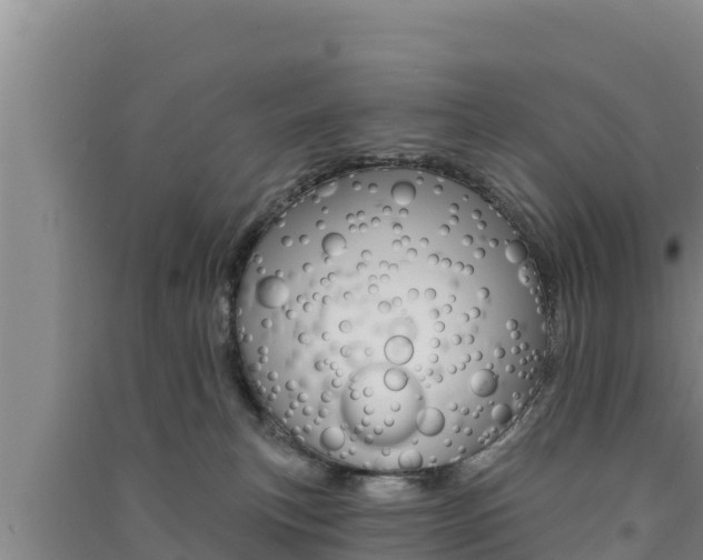 X0000091560183200708171109