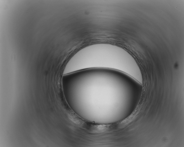 X0000091560184200708171109