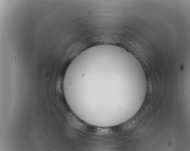 X0000091560185200708171109