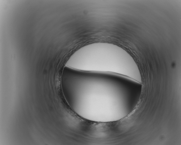 X0000091560186200708171109