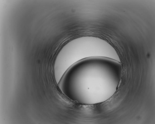 X0000091560188200708171109