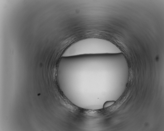 X0000091560189200708171109