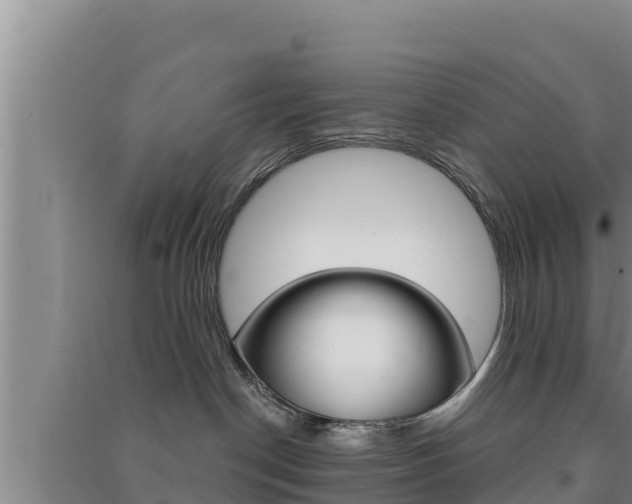 X0000091560190200708171109