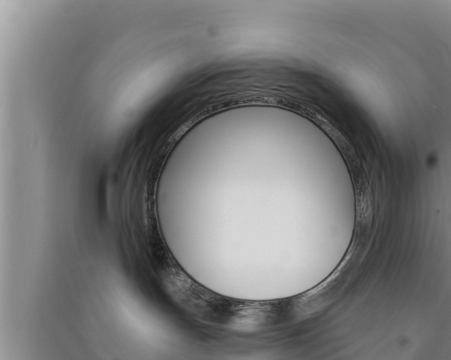 X0000091560191200708171109