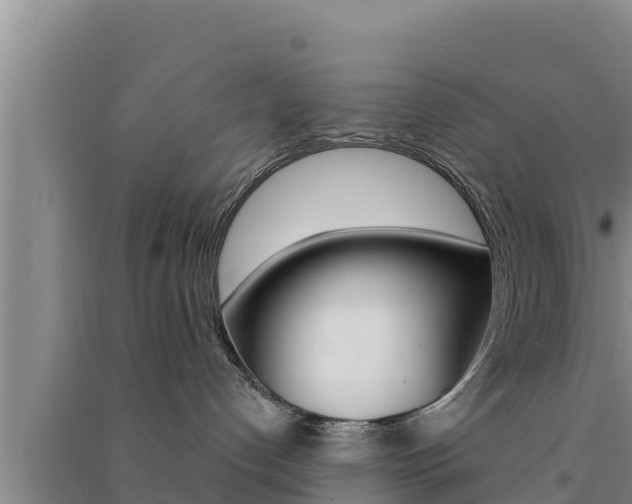 X0000091560192200708171109