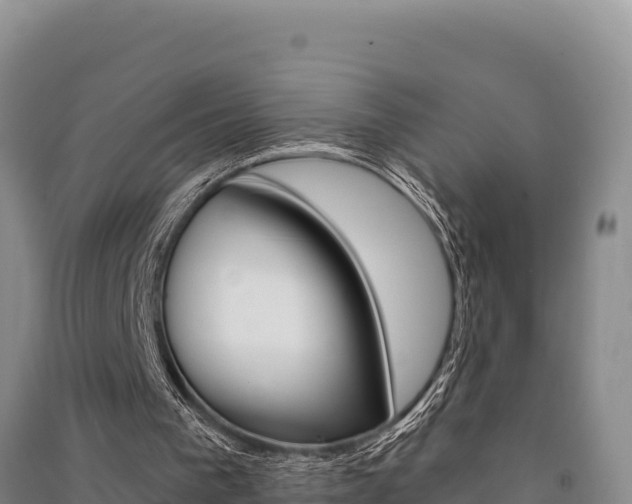 X0000091560193200708171108