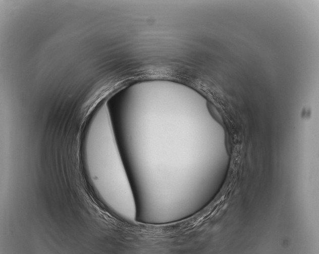 X0000091560194200708171108