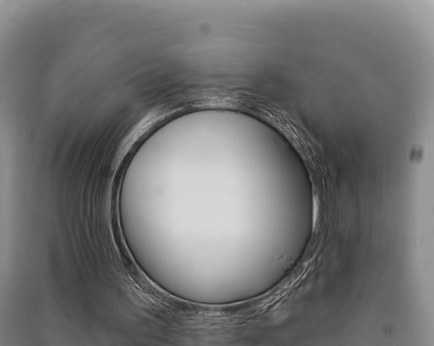 X0000091560195200708171108