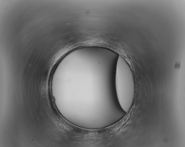 X0000091560196200708171108