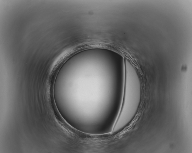 X0000091560197200708171108