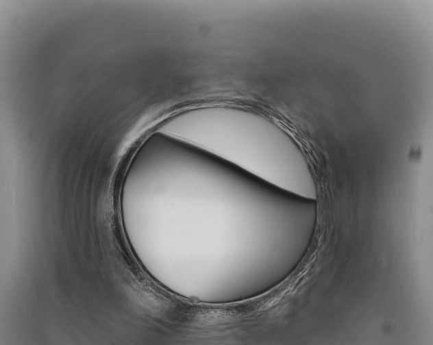 X0000091560198200708171108