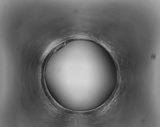 X0000091560199200708171108