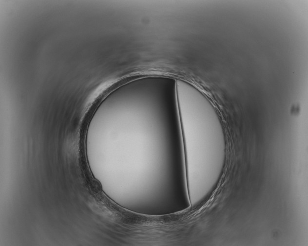 X0000091560200200708171108