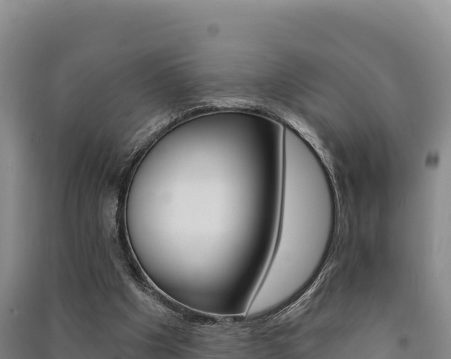 X0000091560201200708171108