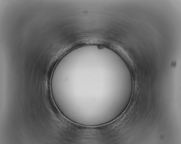 X0000091560202200708171108