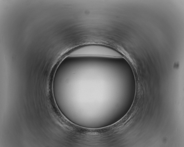 X0000091560203200708171108