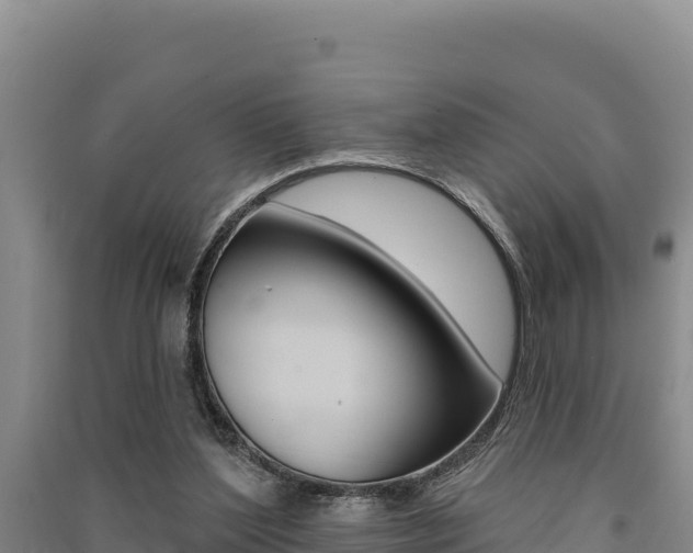 X0000091560204200708171108