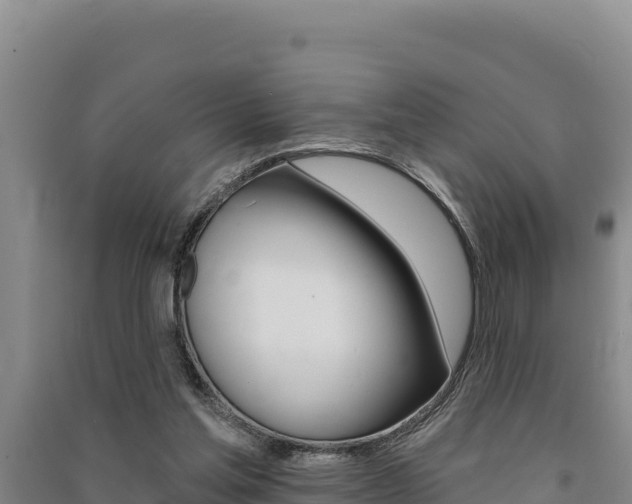 X0000091560205200708171108