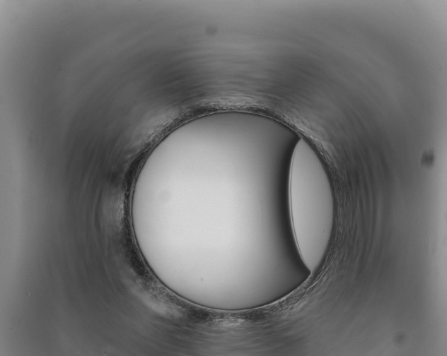 X0000091560206200708171108