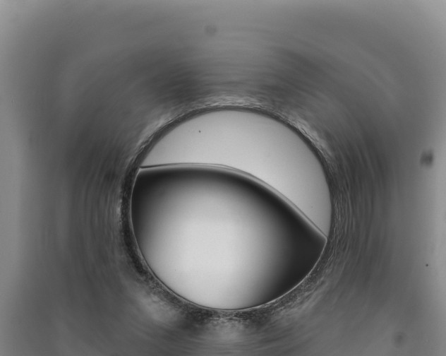 X0000091560207200708171108