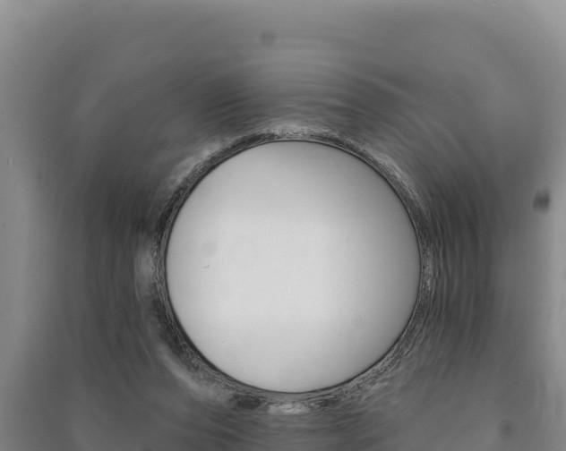 X0000091560208200708171108