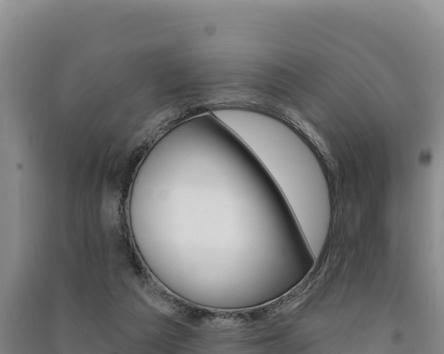 X0000091560209200708171108