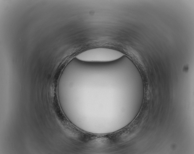 X0000091560210200708171108