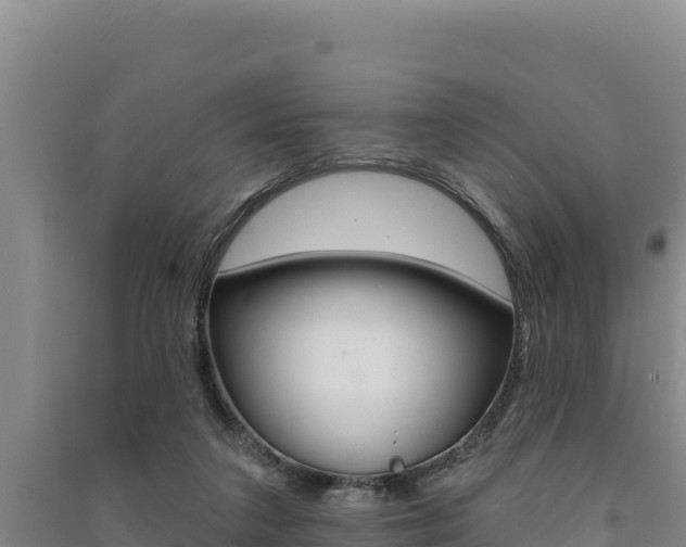 X0000091560211200708171108