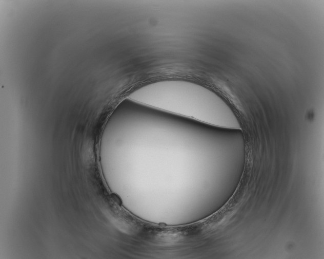 X0000091560213200708171108