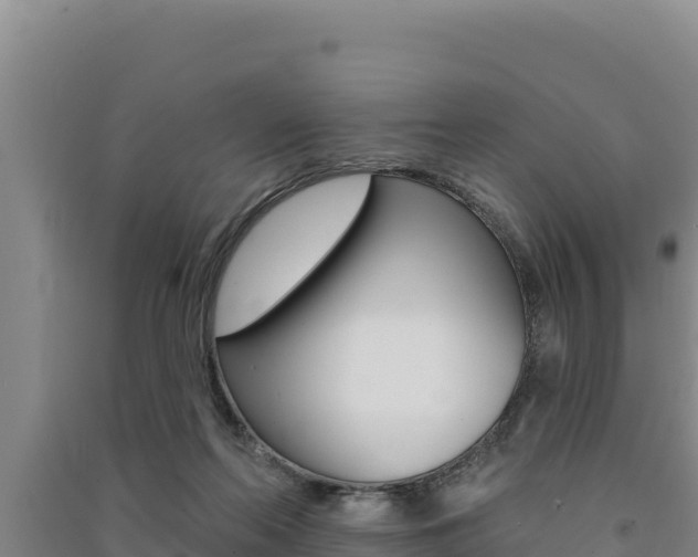 X0000091560214200708171108