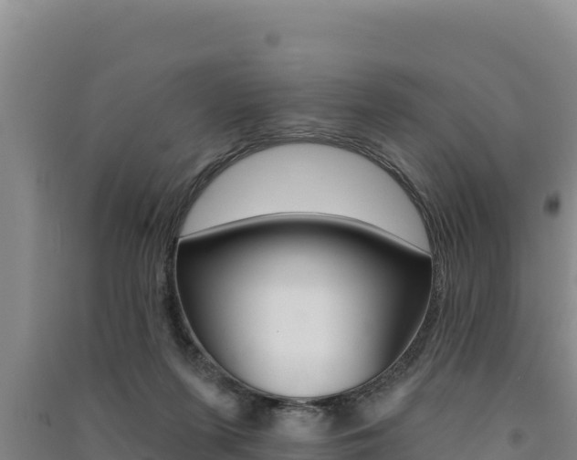 X0000091560215200708171108