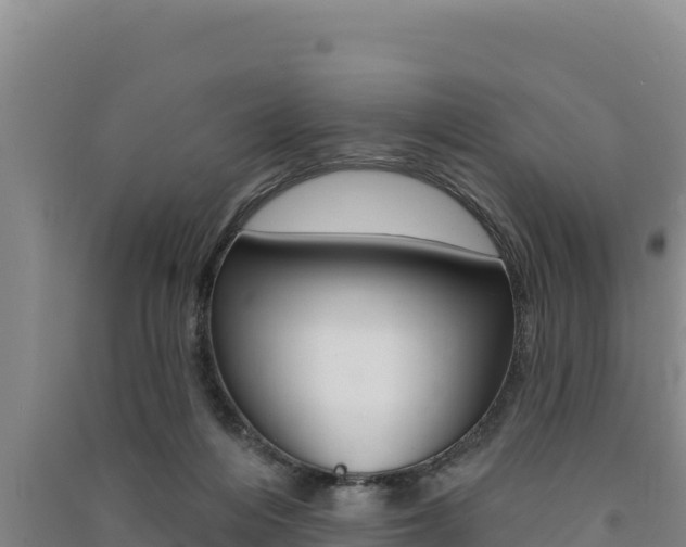 X0000091560216200708171108