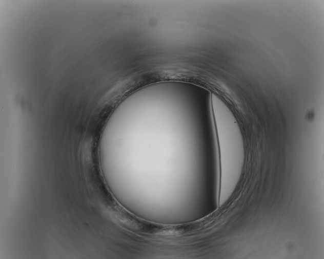 X0000091560217200708171108