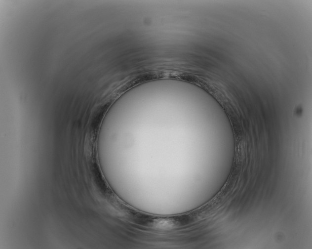 X0000091560218200708171108