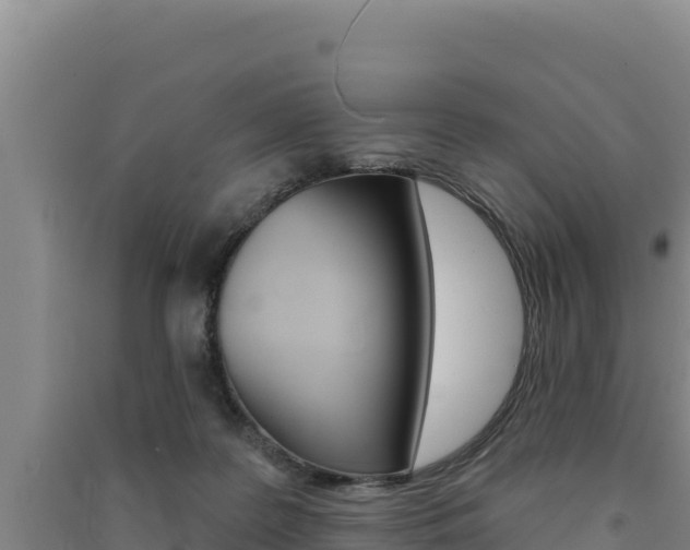 X0000091560219200708171108