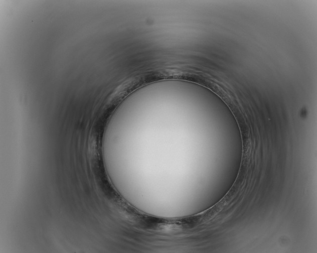 X0000091560220200708171108