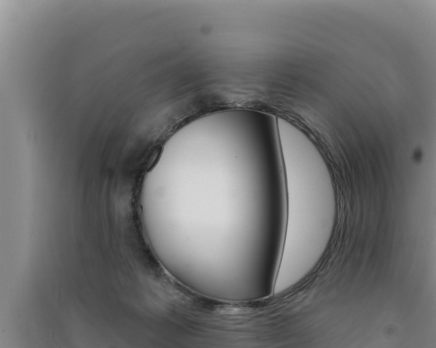 X0000091560221200708171108