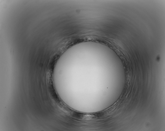 X0000091560222200708171108