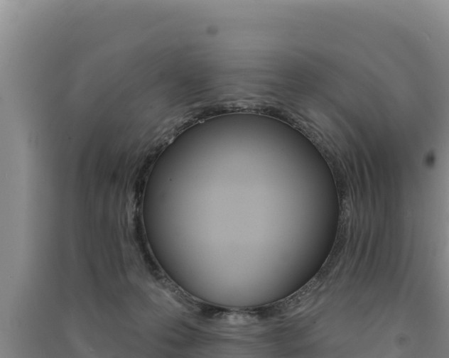 X0000091560223200708171108