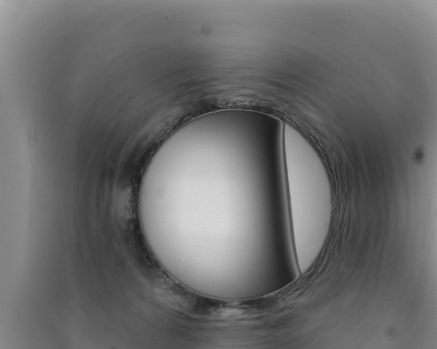 X0000091560224200708171108