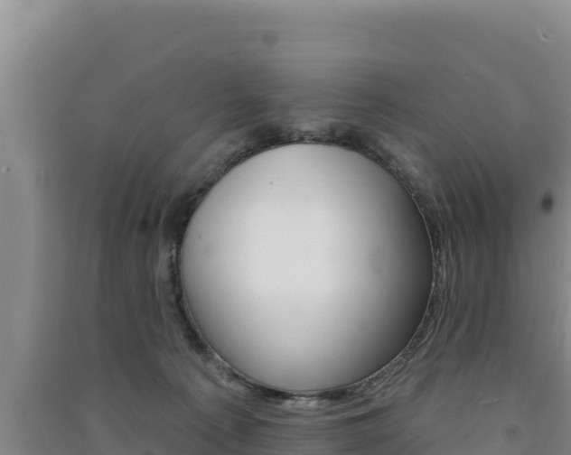 X0000091560225200708171108