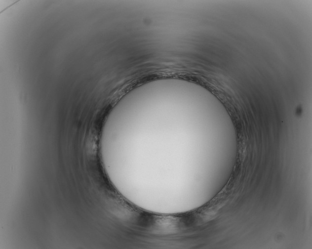 X0000091560226200708171108