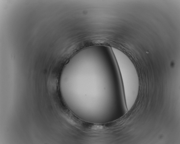 X0000091560227200708171108